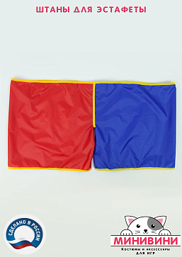 Штаны для эстафеты (детские) – портал поставщиков НСППО - 2